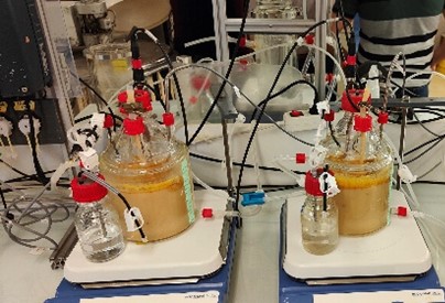 Sewerage Networks and Wastewater Treatment Plants