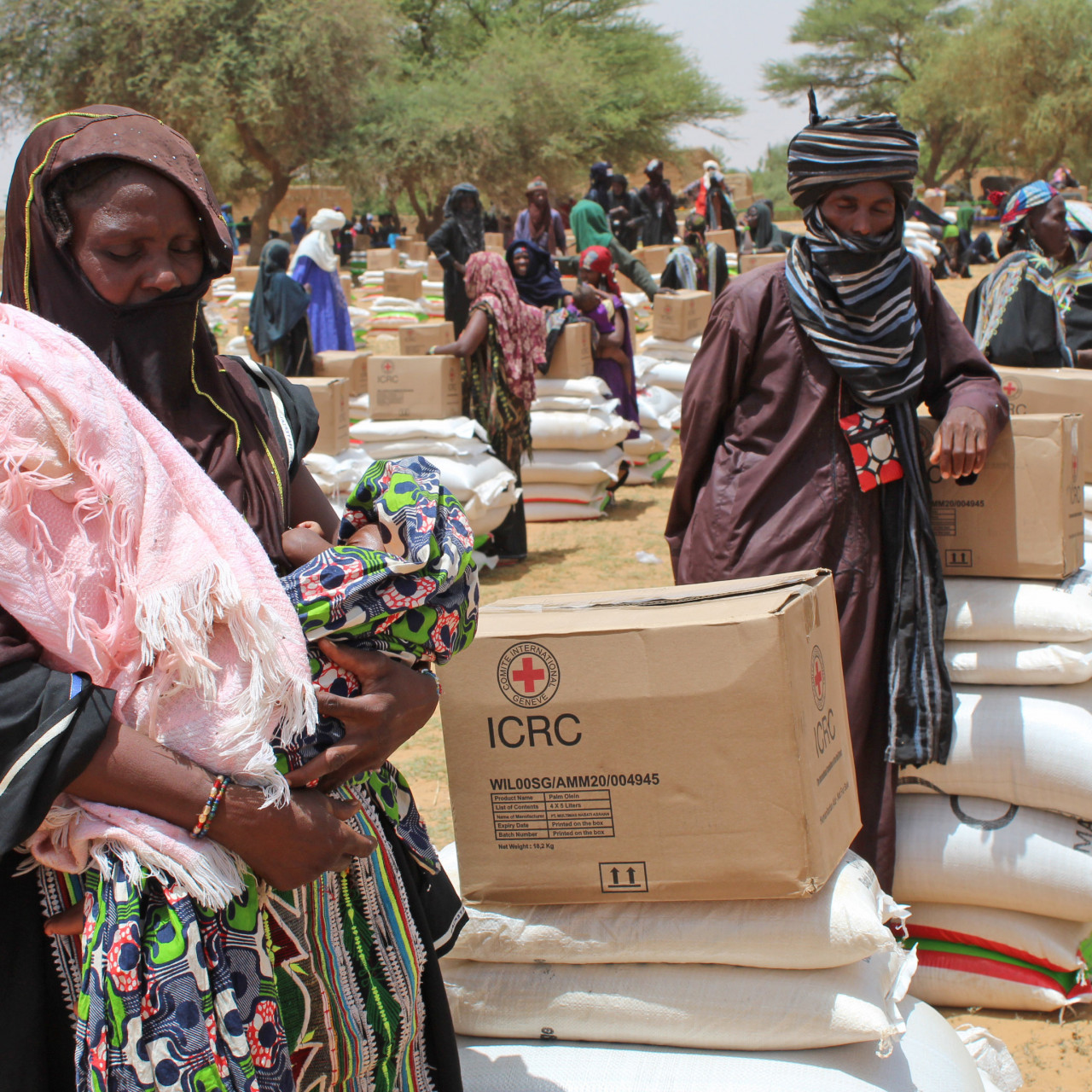 Niger : la région de Tillabéri souffre de l'insécurité au Mali | Comité  international de la Croix-Rouge