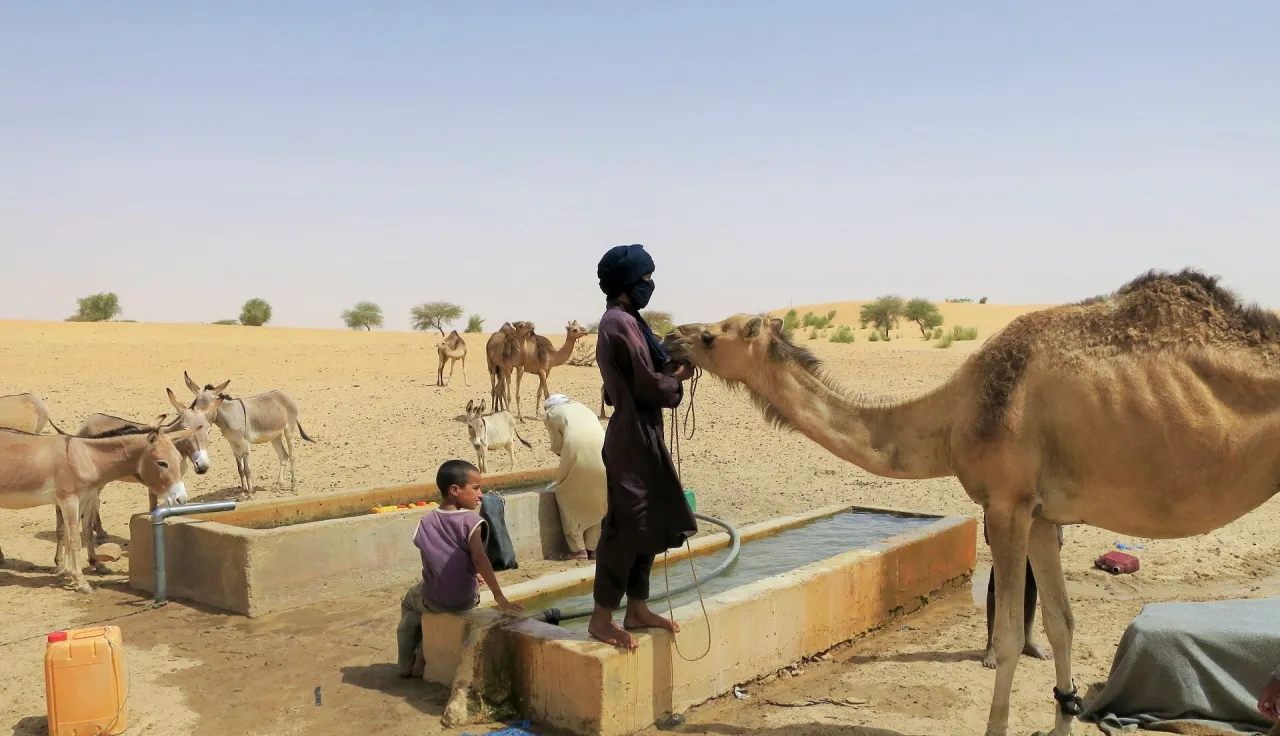 Tombouctou region, Likraker. 1200 residents and their livestock have access to water after the works of the ICRC on water point and distribution network.