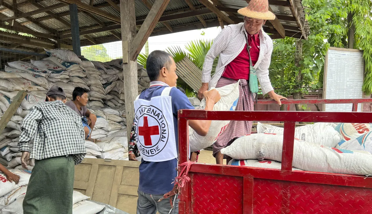 The ICRC distributes paddy seeds and fertilisers to support over 1500 families in Kachin state