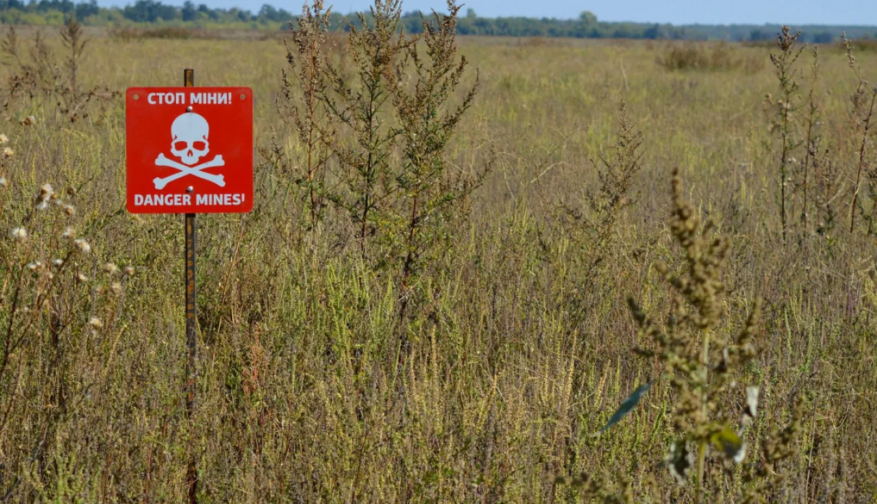 A red "Danger Mines!" sign with a skull and crossbones stands in a field of tall grass, warning of landmines. A red "Danger Mines!" sign with a skull and crossbones stands in a field of tall grass, warning of landmines.