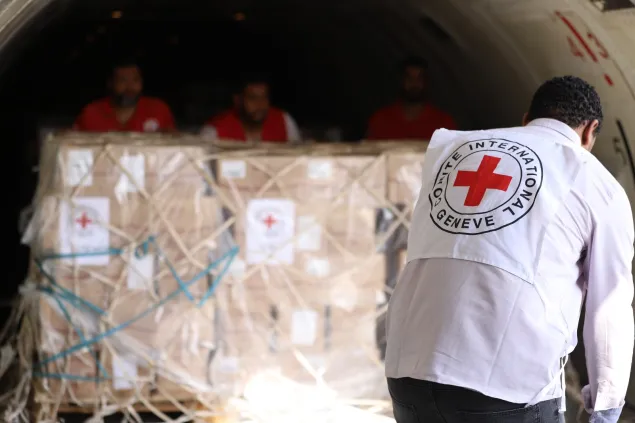 Ahmed Mostafa, logistical coordinator of the ICRC Cairo delegation Aid Convoy in Areesh to Rafah.