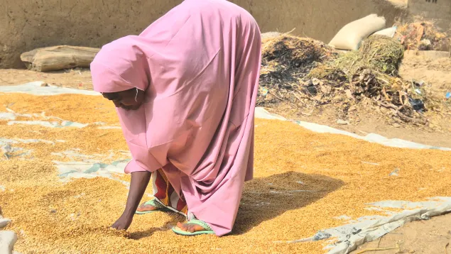 Hassana Hassana tending her rice