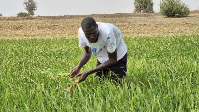 Isiaku at work in his farm Isiaku at work in his farm