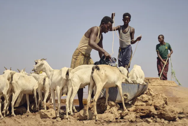 This well in Ceel-Baraag village in Dhusamareb is among the few remaining water sources in the region