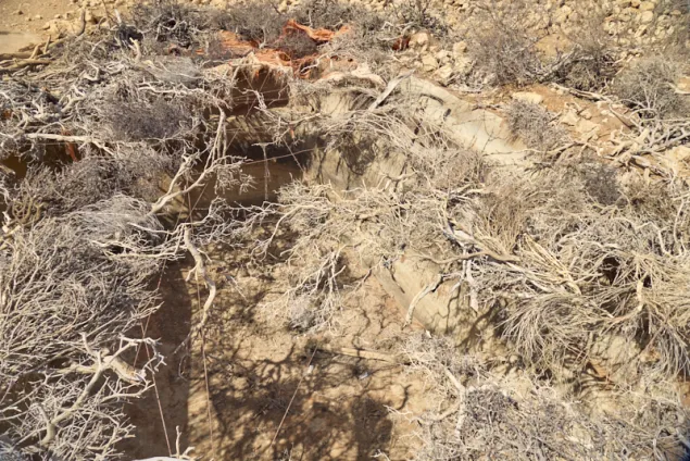 A dried up berkad in Dhusamareb, Galmudug state, one of the hardest-hit regions in Somalia.