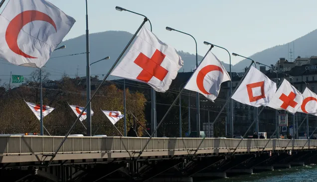 Flags fly at the Mont-Blanc bridge in Geneva, marking the 30th International Conference of the Red Cross and Red Crescent. Jorge PEREZ/IFRC Flags fly at the Mont-Blanc bridge in Geneva, marking the 30th International Conference of the Red Cross and Red Crescent.