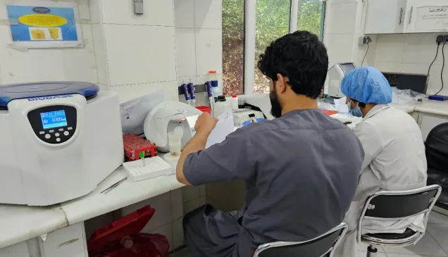 Lab technicians at the Mirwais Regional Hospital processing collected blood samples.