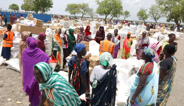 ICRC staff supplying essential livelihood items to refugees.