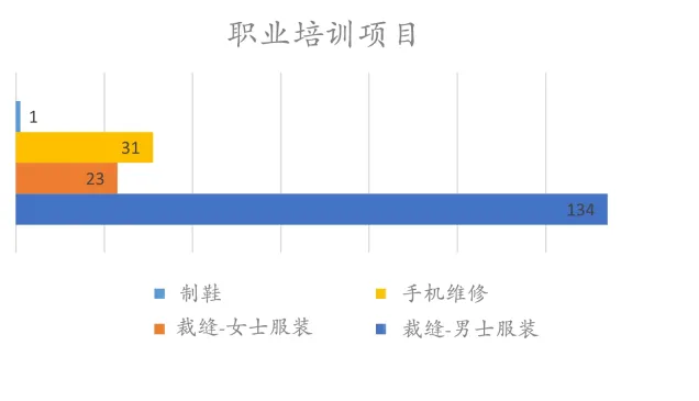 Afganistan Vocational Training Programs