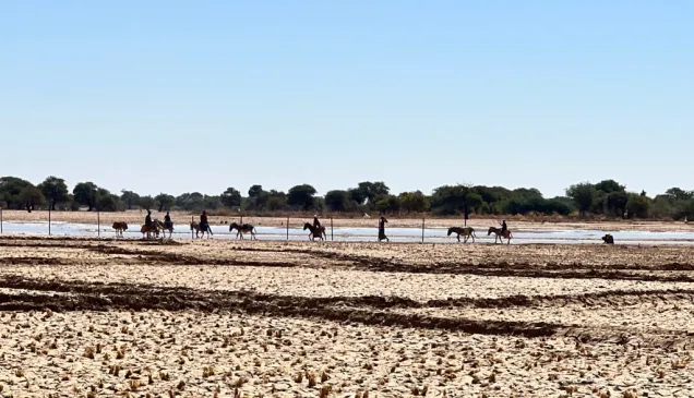 Paysage d'une terre asséchée.