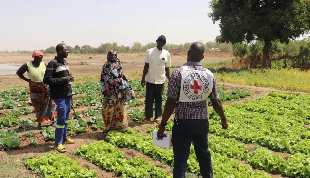 A Fada, le CICR soutient plusieurs activités des communautés pour les aider à bâtir la résilience