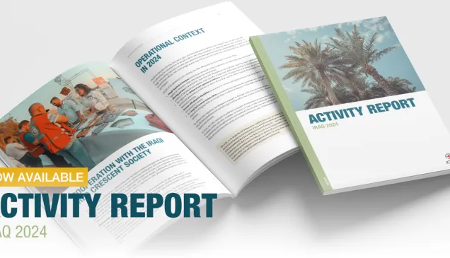 Activity Report: Iraq 2024 Activity Report: Iraq 2024