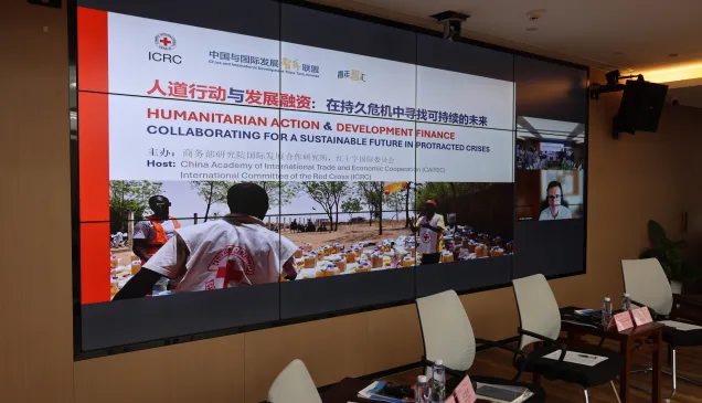 人道行动与发展融资