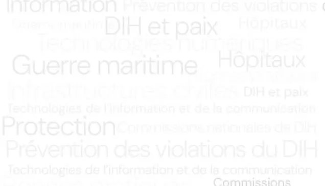 Initiative mondiale visant à revitaliser l’engagement politique en faveur du droit international humanitaire : Rapport intérimaire