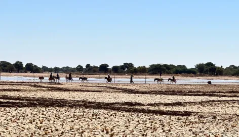 Ménaka lutte pour sa sécurité alimentaire. Paysage d'une terre asséchée.
