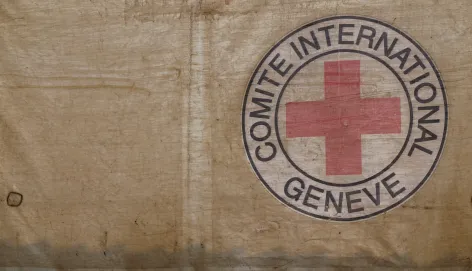 Emblem ICRC Emblem on canvas