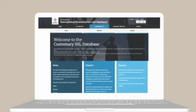 Screenshot of the customary IHL database