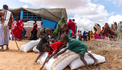 ICRC_Livestock (Range cubes) Distributions_Photo: Edson Macharia