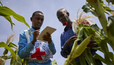 ICRC_Lafoole. The ICRC supports an agricultural cooperative by providing training, drought resistant seeds, farming tools and a cash allowance_Photo: MOHAMED, Abdikarim