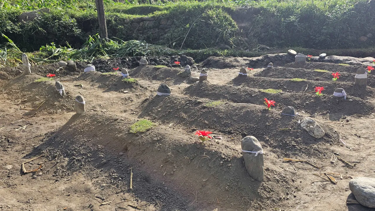 Afgh_8_20250904_151935 A row of freshly dug graves marked with small stones and red flags, set in a rural area with green vegetation in the background.
