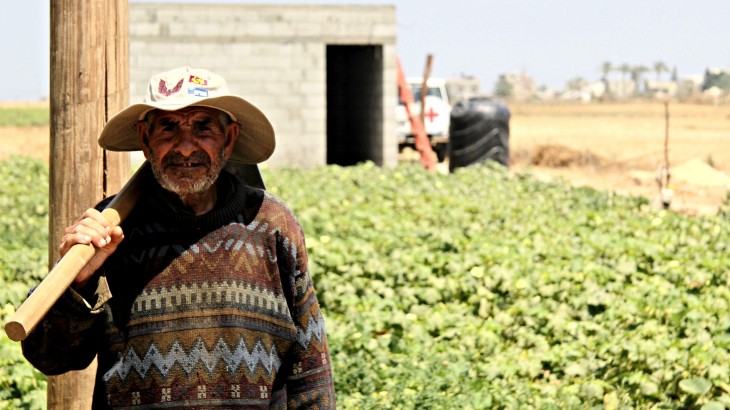 غزة: كيف ساعدت اللجنة الدولية المزارعين في العودة إلى ممارسة عملهم | اللجنة  الدولية للصليب الأحمر
