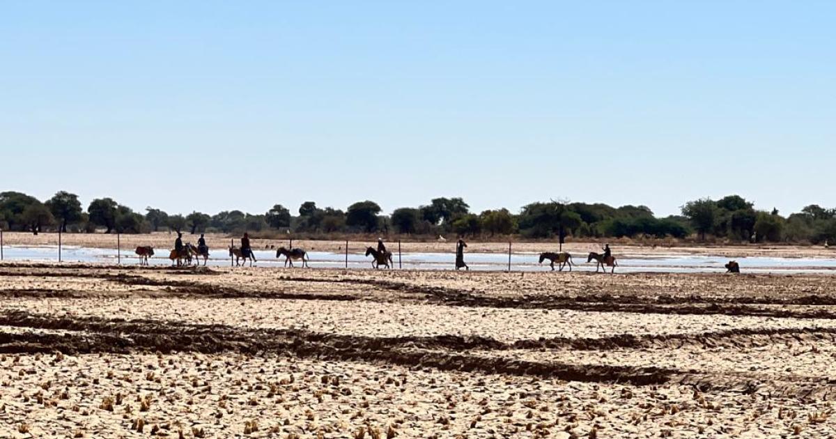 Mali: The struggle for food security in Ménaka