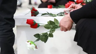 Red roses being placed at a memorial