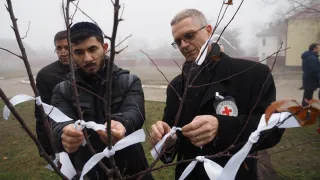 Сотрудники МККК повязывают белые ленточки на дерево во дворе бывшей больницы на церемонии прощания, 2018 г. 