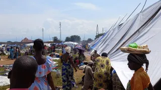 Great Lakes Op Update Women in the forground Great Lakes