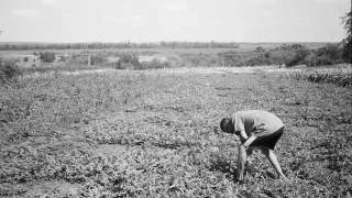 Nataliia and Anatolii's son Ihor in the family farm in Dovhenke.