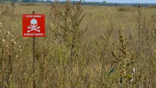 A red "Danger Mines!" sign with a skull and crossbones stands in a field of tall grass, warning of landmines. A red "Danger Mines!" sign with a skull and crossbones stands in a field of tall grass, warning of landmines.
