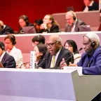 Geneva, International Conference Center. 34th International Conference of the Red Cross and Red Crescent. A representative of Vanuatu takes the floor. Geneva, International Conference Center. 34th International Conference of the Red Cross and Red Crescent. A representative of Vanuatu takes the floor.